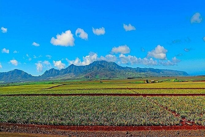 Private Pearl Harbor and Mini Circle Island Tour from Waikiki - Key points to know before booking