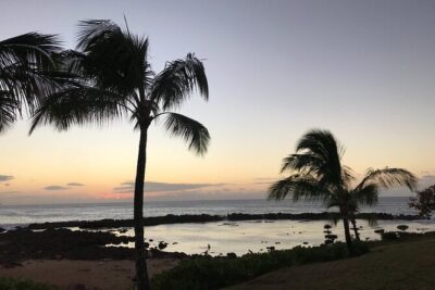 Private Pearl Harbor & North Shore tour (Se habla Español)
