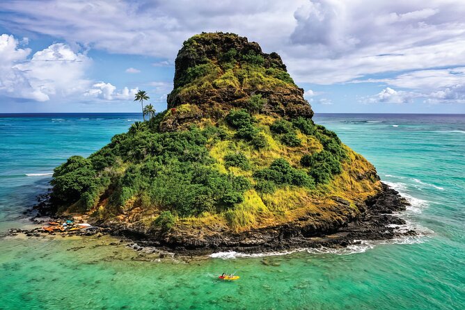 PRIVATE Premium Circle Island Tour (12 Stops) - Tropical Farms brings in a taste of Oahu