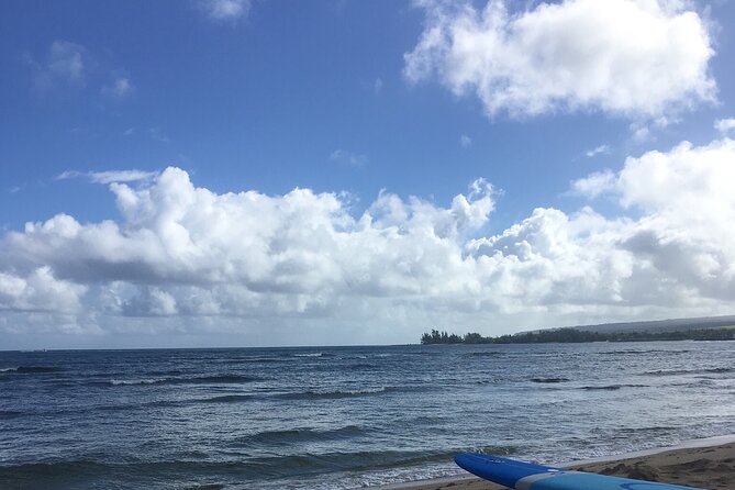 Private Surfing Lessons on the North Shore of Oahu - Who will get the most from this lesson