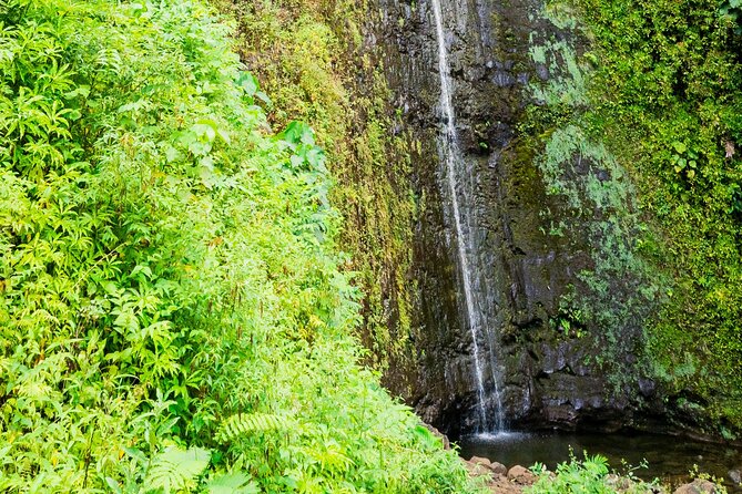 PRIVATE TOUR-Hike Diamond Head & Hawaiian Waterfall - A guide who adds context between the trails