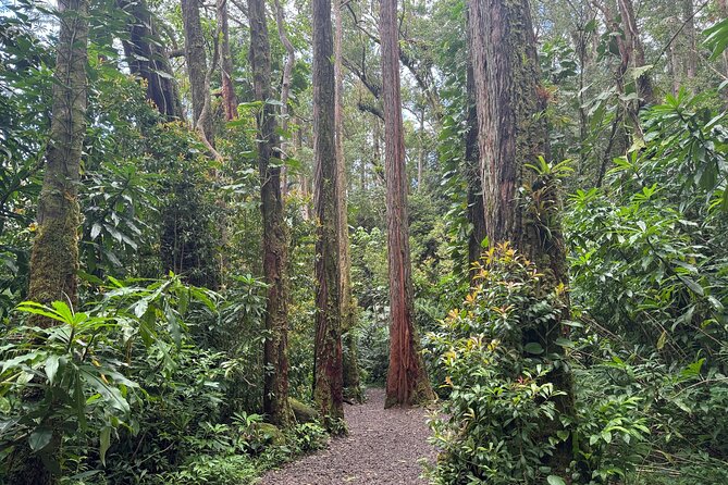 PRIVATE TOUR-Hike Diamond Head & Hawaiian Waterfall - The beach breakfast stop and what is not included