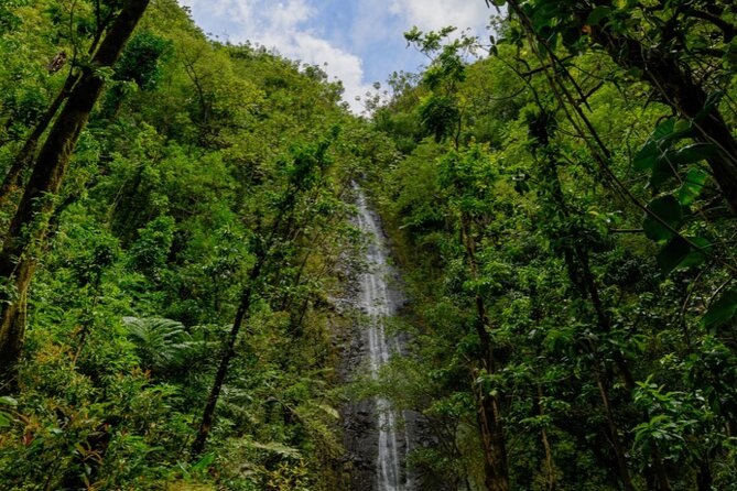 PRIVATE TOUR-Hike Diamond Head & Hawaiian Waterfall - My booking advice for Diamond Head and Manoa Falls