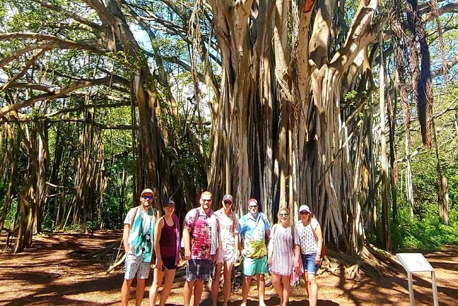 Private Tour Oahu Circle Island - Fully Personalized Experience - What the guide adds to the drive