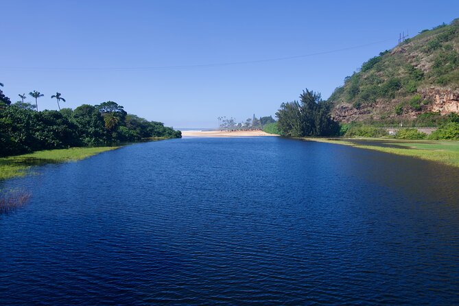 Private Tour Oahu including Waimea Waterfall-Customizable - Waimea Valley and the walk to the waterfall