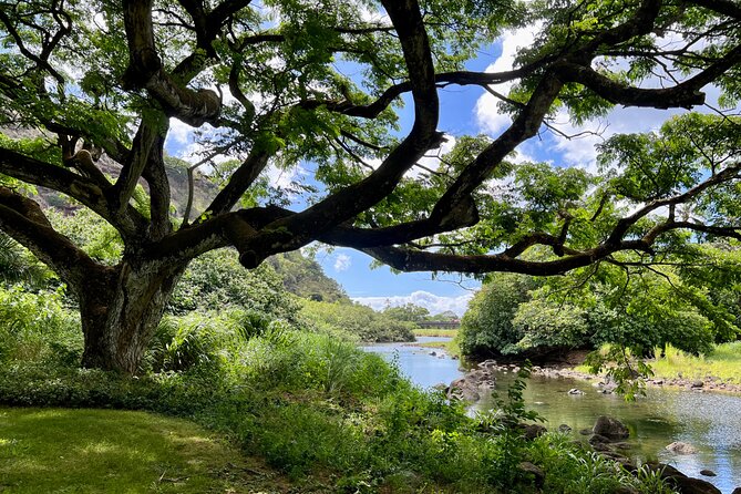 Private Tour Oahu including Waimea Waterfall-Customizable - Haleiwa Beach Park and the North Shore