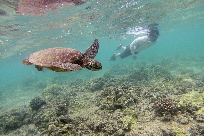 Private Tour of Oahu for 6 to 11 people - up to 8 hours - North Shore, farms, and local food