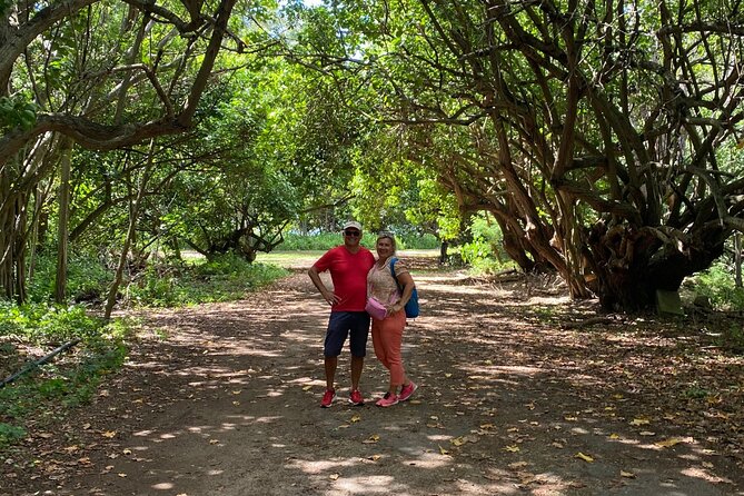 PRIVATE TOUR-Ultimate North Shore Experience - Waimea Valley Rewards the Walk