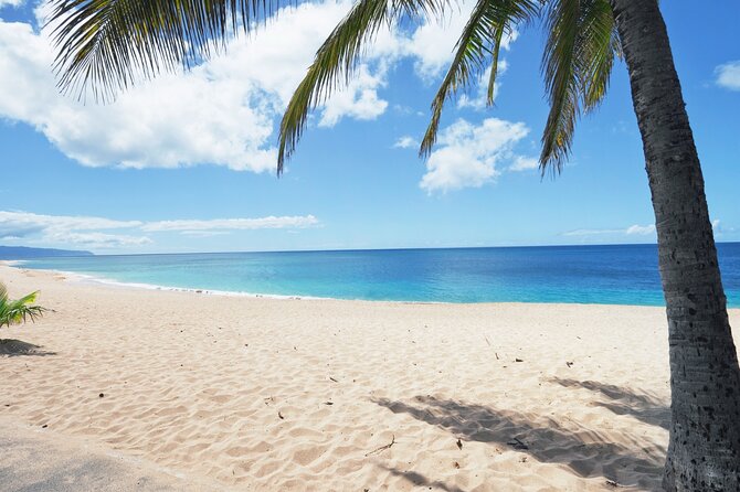 PRIVATE TOUR-Ultimate North Shore Experience - Turtle Bay Beach Brings the Best Chance for Ocean Wildlife