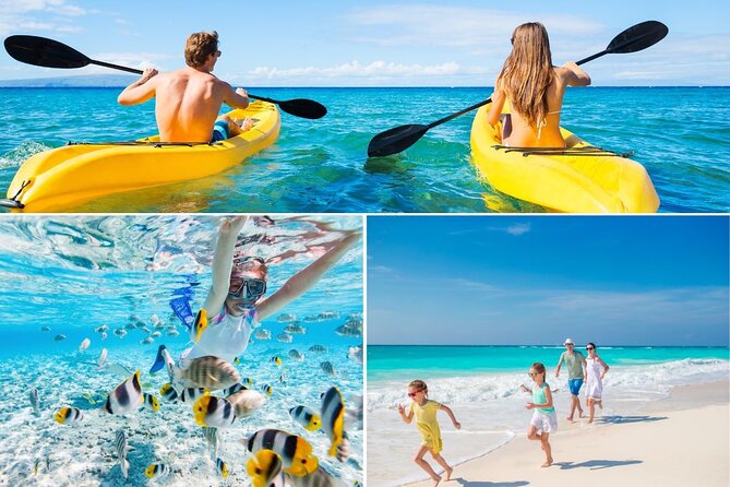 PRIVATE TOUR-Ultimate North Shore Experience - Haleiwa Town Gives You Time Off the Schedule