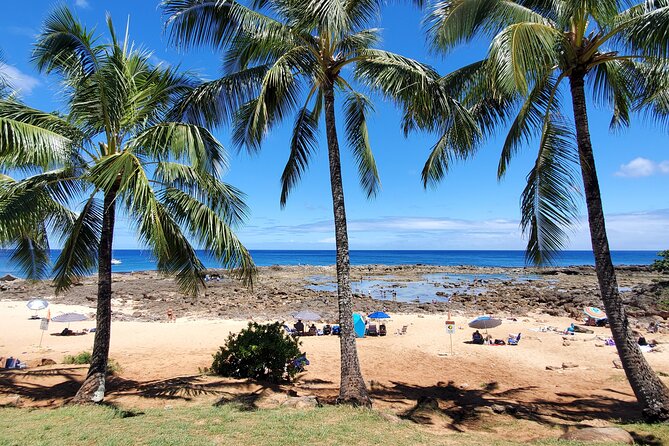 Round Trip North Shore Shuttle from Waikiki to Haleiwa Town / Haleiwa Harbor - Haleiwa Harbor for a change of scene