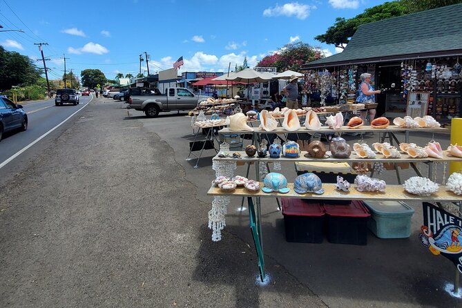 Round Trip North Shore Shuttle from Waikiki to Haleiwa Town / Haleiwa Harbor - Waimea Valley, Shark’s Cove, and the coastal stops