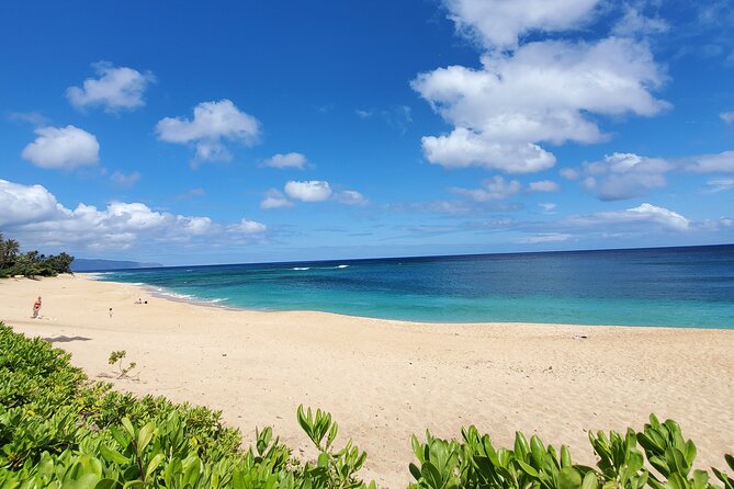 Round Trip North Shore Shuttle from Waikiki to Haleiwa Town / Haleiwa Harbor - Value for people who do not want to drive