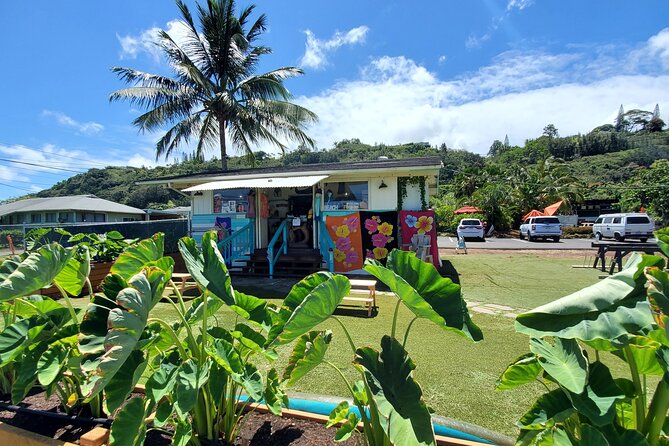Round Trip North Shore Shuttle from Waikiki to Haleiwa Town / Haleiwa Harbor - Haleiwa Town and North Shore Marketplace