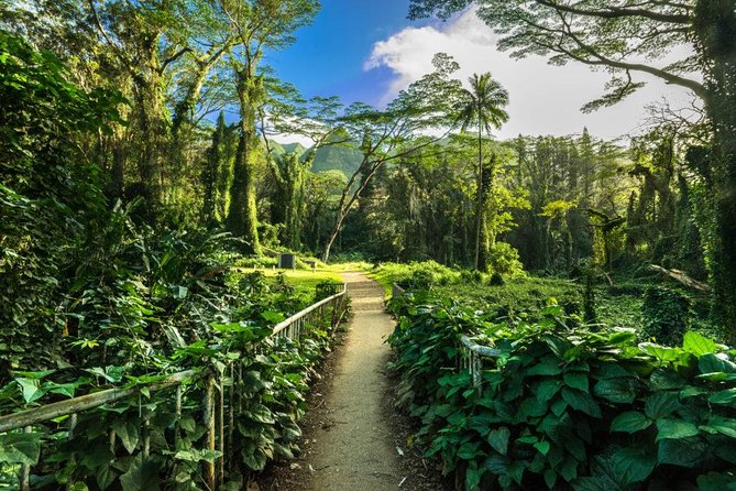 Self Guided Hike Trail to Nature Walk & Waterfall - The drive into Rainbow Valley