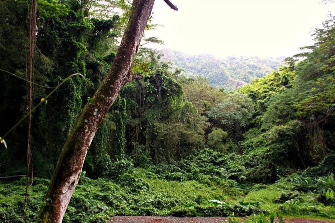 Self Guided Hike Trail to Nature Walk & Waterfall - Reaching the 150-foot waterfall