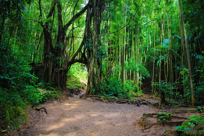 Self guided Hike Trail to Nature Walk & Waterfall - Puʻu ʻUalakaʻi State Park supplies the city view