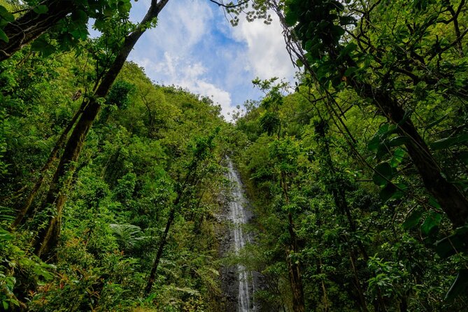 Self guided Hike Trail to Nature Walk & Waterfall - Is $79 a fair price for this half-day outing?