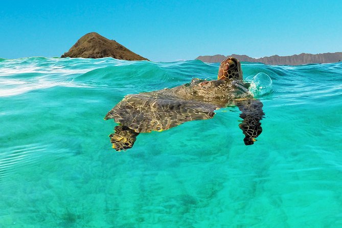 Self-Guided Kayaking Discovery in Kailua, Oahu - How hard is this self-guided outing?
