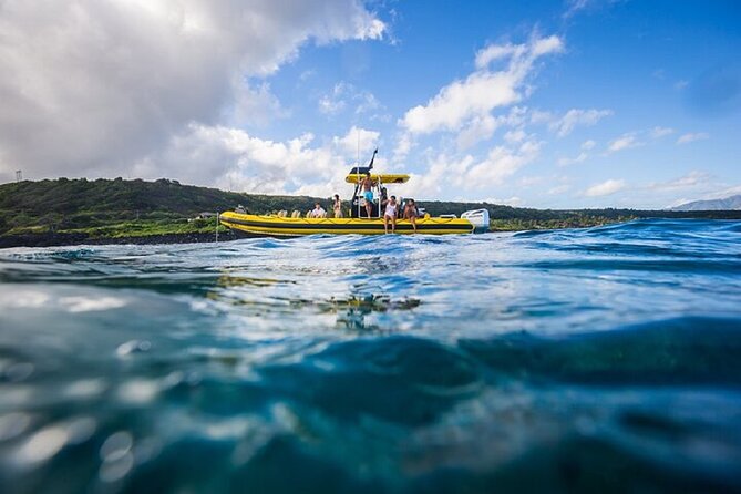 Shark-Dive Tour on Oahu's North Shore - Who should book this North Shore trip