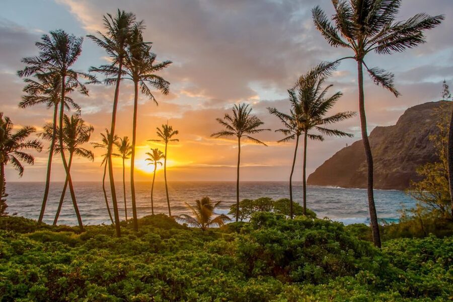 Small Group 3 Hour Honolulu Sunrise Tour with Malasadas - Sandy Beach gives the tour its main moment