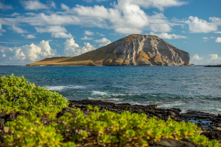 Small Group 3 Hour Honolulu Sunrise Tour with Malasadas - Makapuu Lookout adds broad coastal views