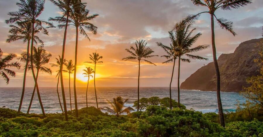 Small Group 3 Hour Honolulu Sunrise Tour with Malasadas - Halona Blowhole brings another change of scenery