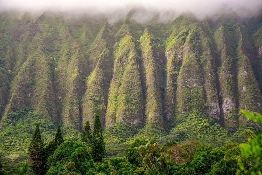 Small Group 3 Hour Honolulu Sunrise Tour with Malasadas - What the professional photo guidance is really worth