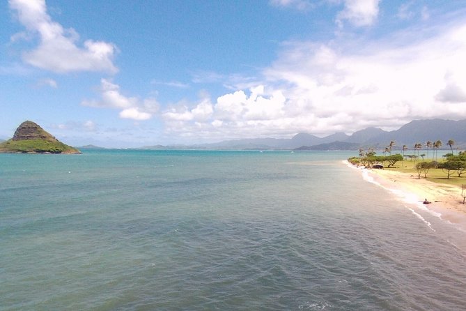 Small Group North Shore Circle Island Tour Oahu - Laniakea Beach and the turtle question