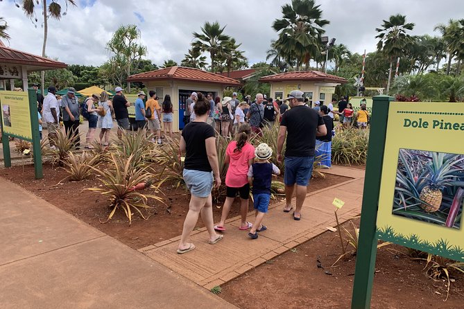 Small Group-Oahu Tour, Dole Plantation, Northshore, Sunset Beach - What the guide can add to the day