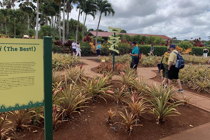 Small Group-Oahu Tour, Dole Plantation, Northshore, Sunset Beach - Is $199 a fair price?
