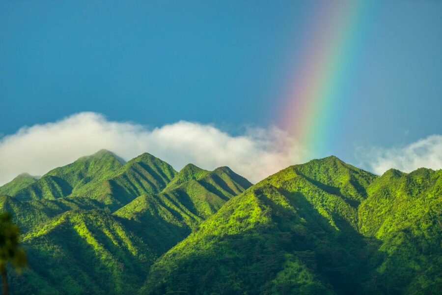 Small Group Tour of Honolulu Scenic Vistas with Sunset - Key points to know before booking