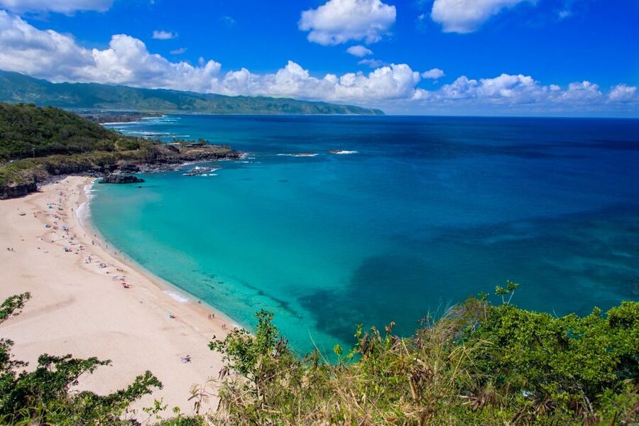 Small Group Tour of Honolulu Scenic Vistas with Sunset - Koko Crater Botanical Garden: flowers and a quieter pause