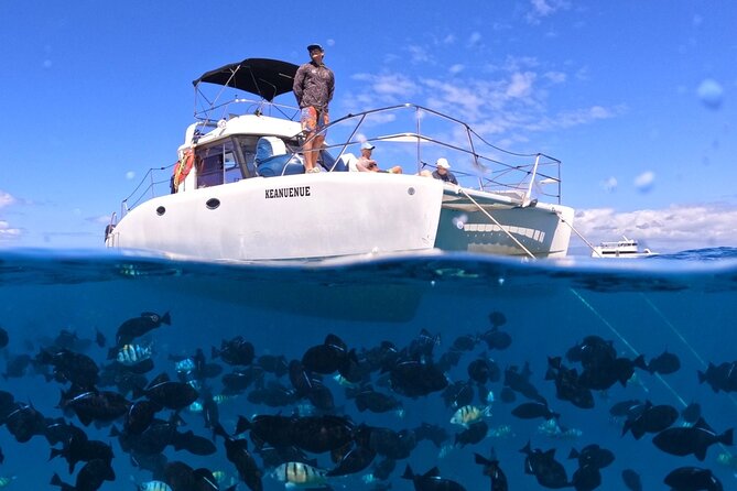 Small Group Turtle Canyon Snorkel in Waikiki (Boat Tour) - Key points to know before you book
