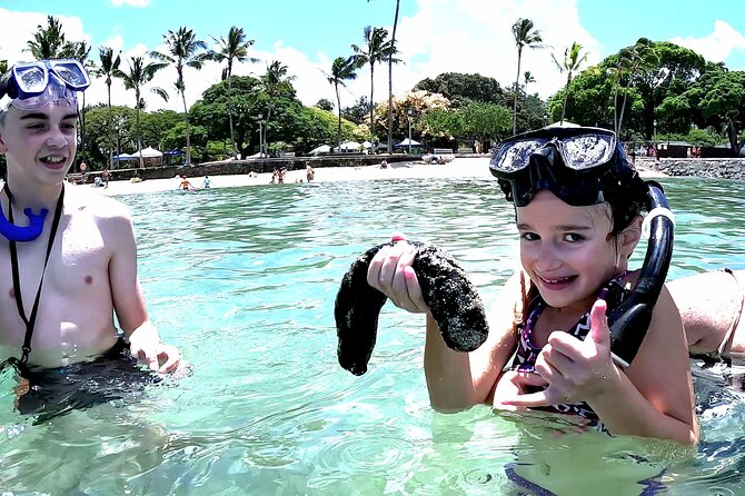 Snorkeling in Waikiki Many Fish All Levels Free Video & Pics! - Fish, Flotation, and Waikiki’s Shallow Water