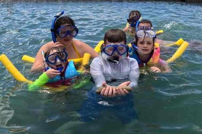 Snorkeling in Waikiki Many Fish All Levels Free Video & Pics! - Reef Etiquette Deserves Attention