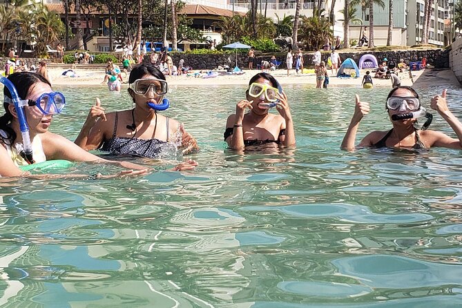Snorkeling in Waikiki Many Fish All Levels Free Video & Pics! - Group Size and Personal Attention
