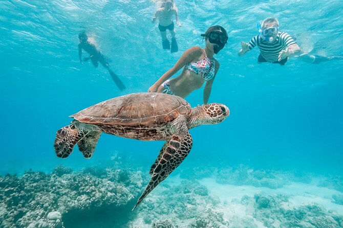 Snorkeling with Sea Turtles in Waikiki Hawaii Boat Tour - Getting into the water at Turtle Canyon