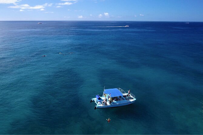 Snorkeling with Sea Turtles in Waikiki Hawaii Boat Tour - The crew and safety support