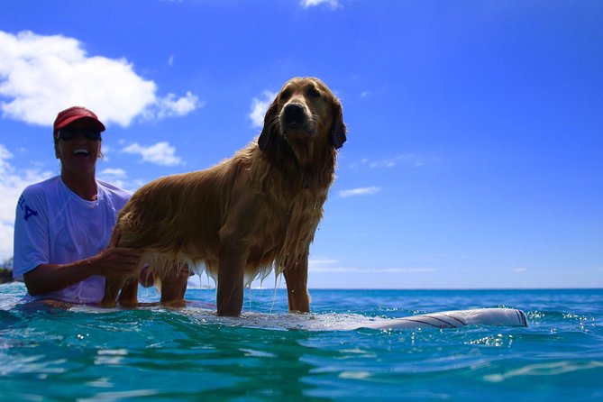 Surf Lessons on the North Shore of Oahu - Learning to surf away from Waikiki