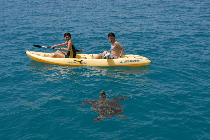 Swim with Dolphins Catamaran with Waterslide & Lunch on Oahu - Lunch is basic, local, and easy to eat onboard