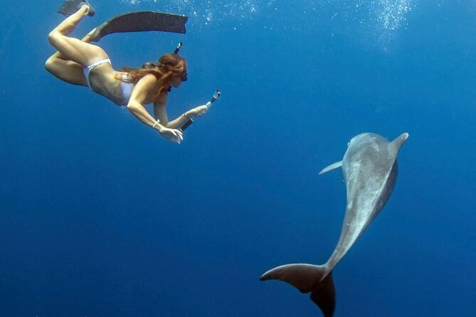 Swim with Dolphins Catamaran with Waterslide & Lunch on Oahu - Crew safety matters more than a slow pace