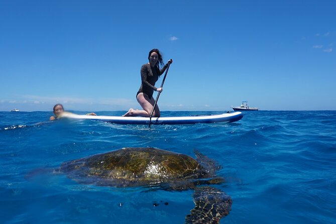 Swim with Dolphins Catamaran with Waterslide & Lunch on Oahu - Is $199 a fair price?