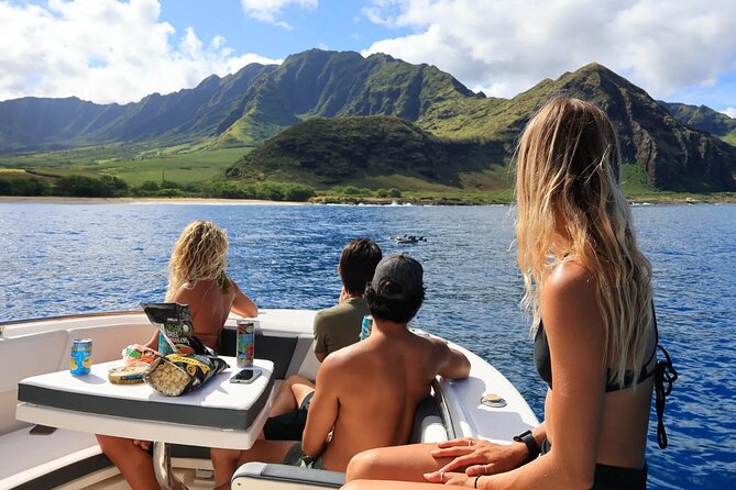 Swim With Dolphins & Turtles in West Oahu (Semi-Private Tours) - What your three hours look like