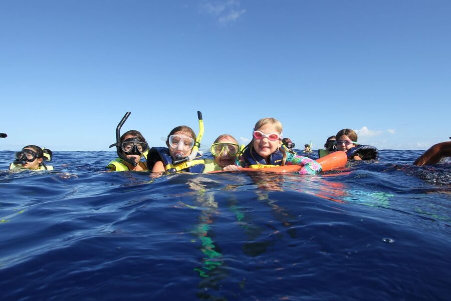 Swim with Wild Dolphins Oahu Speedboat Snorkeling Adventure! - What this Oahu dolphin trip is really like