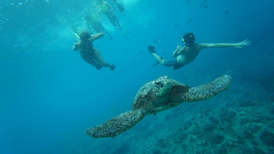 Swim with Wild Dolphins Oahu Speedboat Snorkeling Adventure! - Reaching Waianae Harbor from Waikiki