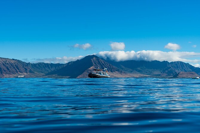 Swimming with Wild Dolphins Speedboat Adventure on Oahu - Why this west Oahu trip feels different