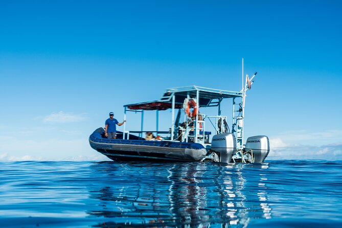 Swimming with Wild Dolphins Speedboat Adventure on Oahu - Leaving Waiʻanae on the Dolphin Warrior