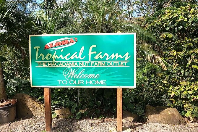 Tour of North Shore & Waimea Waterfall - Guides, storytelling, and the ride itself