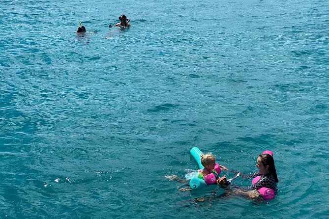 Turtle Canyon Snorkel Adventure in Waikiki, Oahu - Timing, Weather, and Ocean Conditions